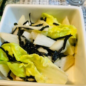 簡単！サラダ菜と海苔のサラダ